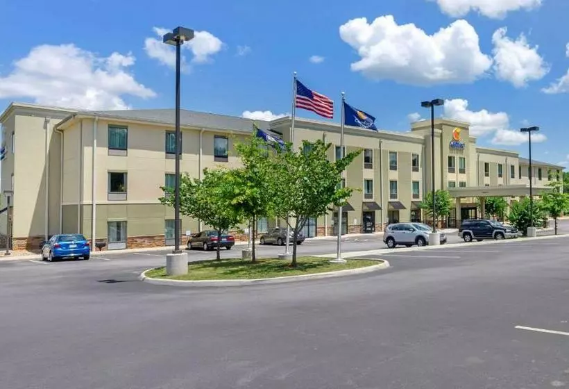 בית מלון כפרי Comfort Inn & Suites Lynchburg Airport University Area