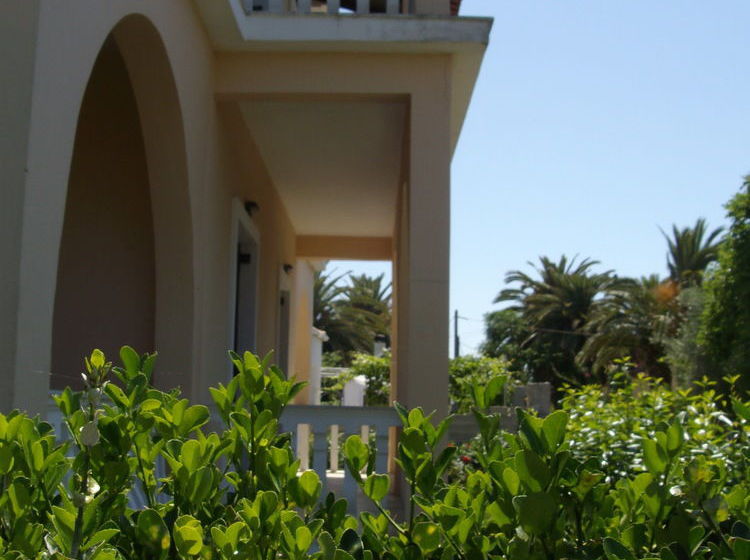 Silver Nests Apartments