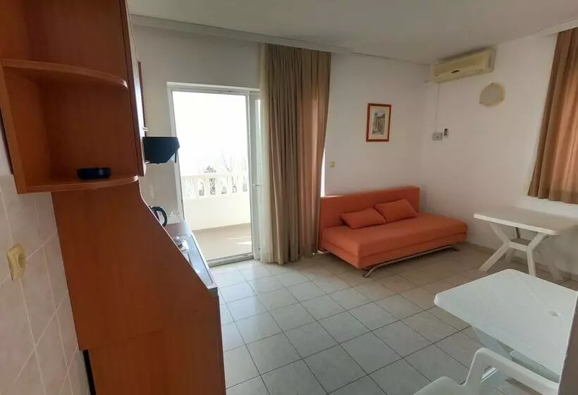 Apartments Villa Dvor