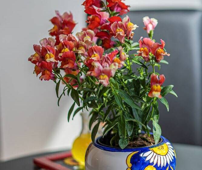 Nocleg ze śniadaniem Il Casale Di Don Matteo