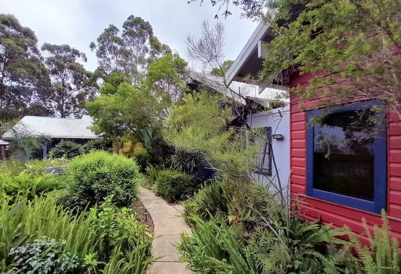 Aamiaismajoitus (B&B) Sky Island Studios