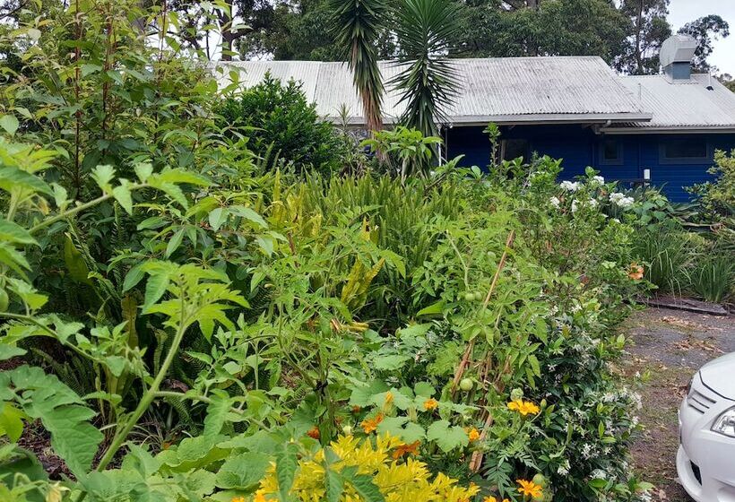 민박 Sky Island Studios