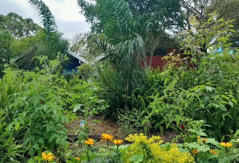 Aamiaismajoitus (B&B) Sky Island Studios