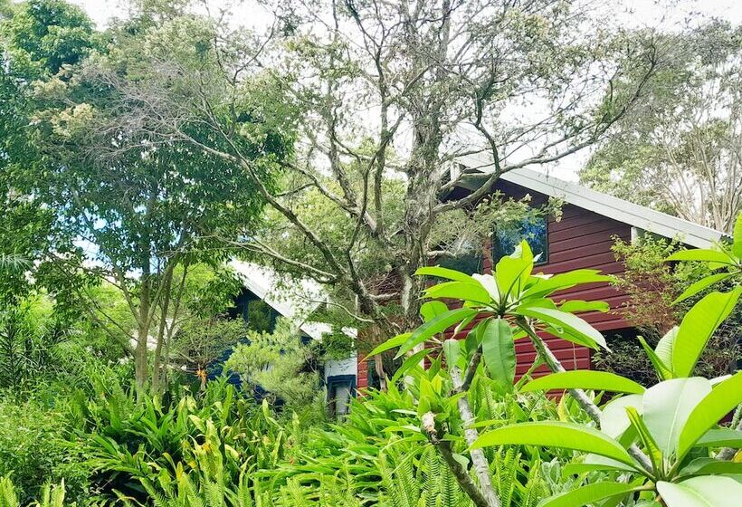 민박 Sky Island Studios