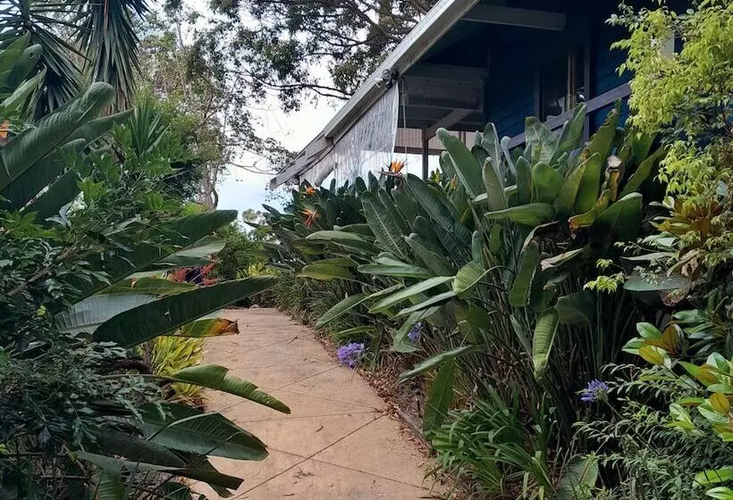 Aamiaismajoitus (B&B) Sky Island Studios