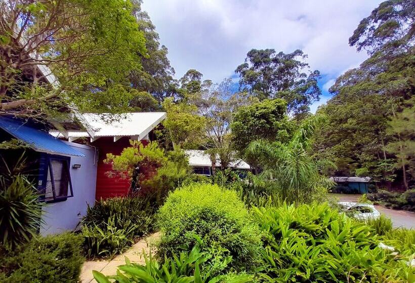 민박 Sky Island Studios