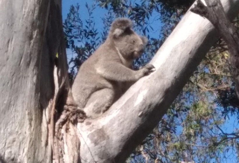 민박 Sky Island Studios