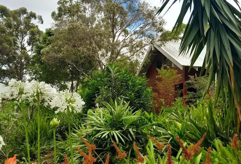 Aamiaismajoitus (B&B) Sky Island Studios