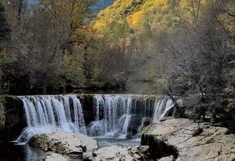 住宿加早餐  Villa Les Oliviers