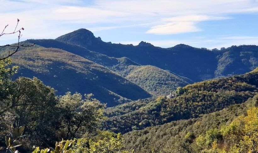 Bed and Breakfast Villa Les Oliviers