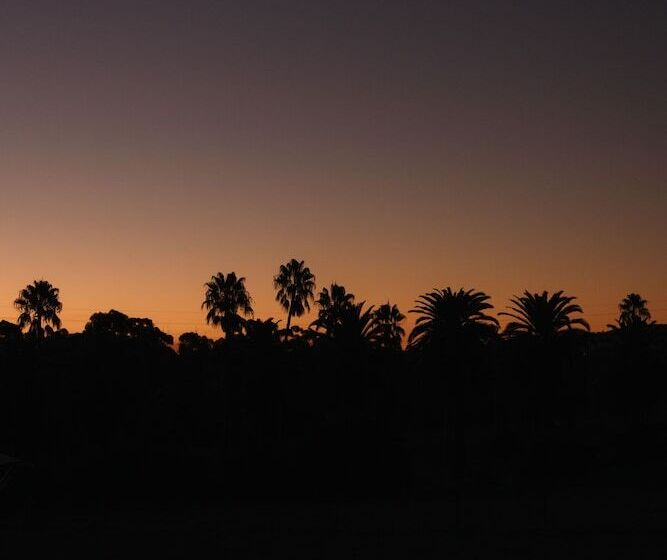 Canvs By Cabn Seppeltsfield Barossa