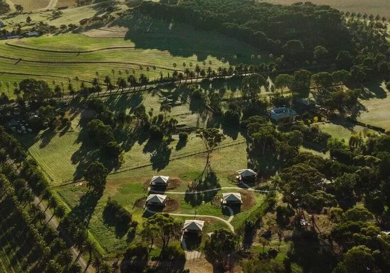 Canvs By Cabn Seppeltsfield Barossa