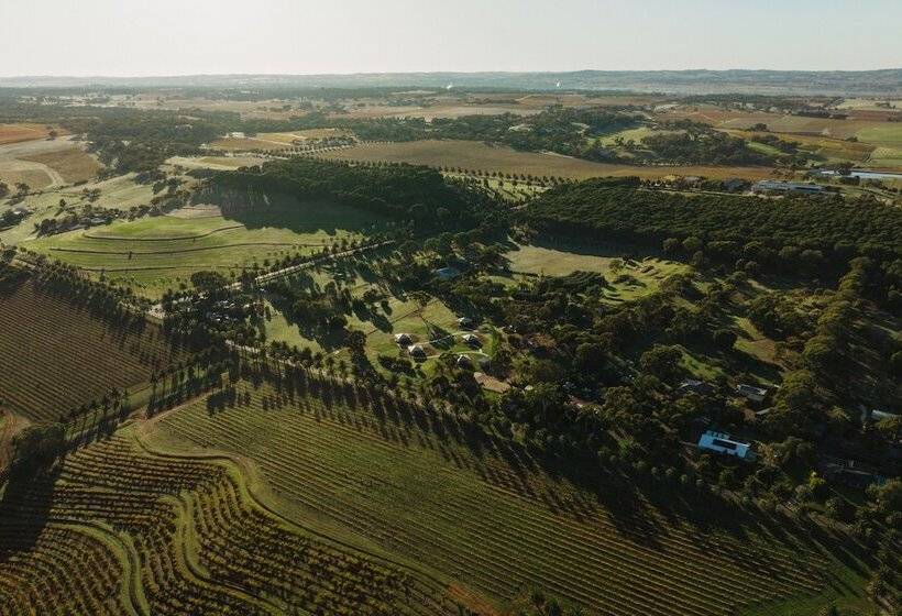 Canvs By Cabn Seppeltsfield Barossa