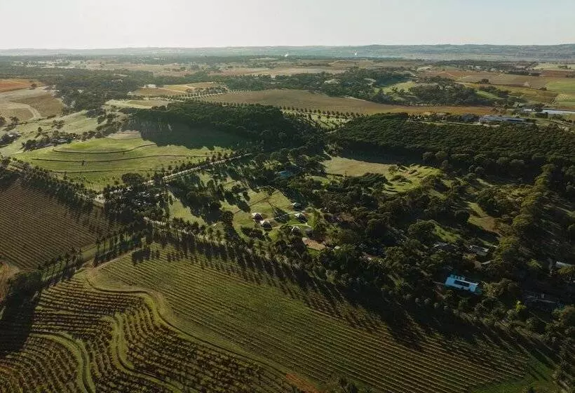 Canvs By Cabn Seppeltsfield Barossa