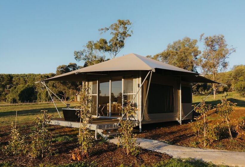 Canvs By Cabn Seppeltsfield Barossa