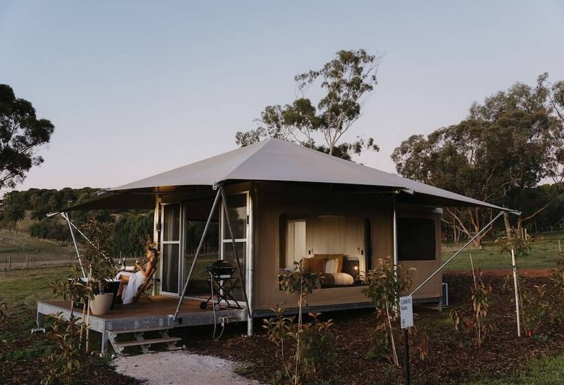 Canvs By Cabn Seppeltsfield Barossa