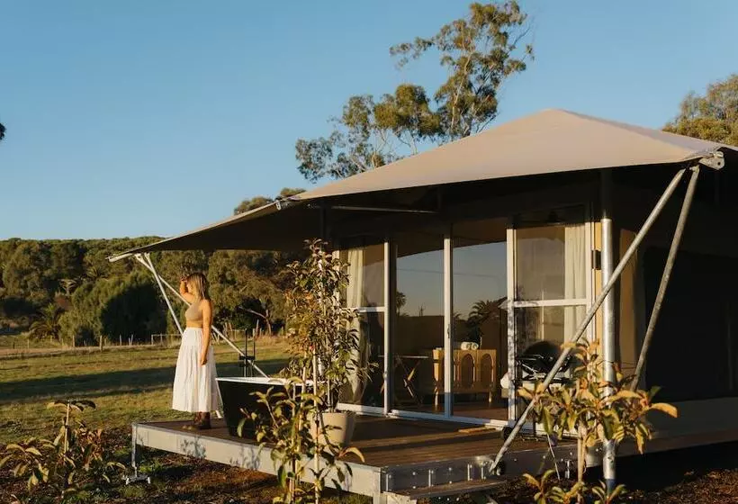 Canvs By Cabn Seppeltsfield Barossa