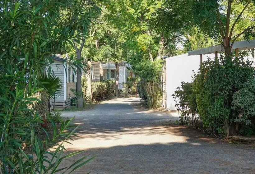 ホテル Camping Pleine Mer