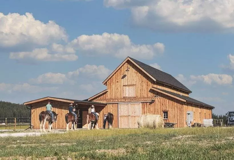 Maaseutuhotelli Clydesdale Outpost
