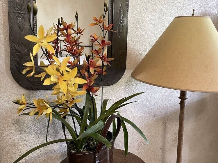 Lake View Two Bedroom, Two Bath Log Sided Cottage With Private Hot Tub Overlooking Lake Ouachita. By