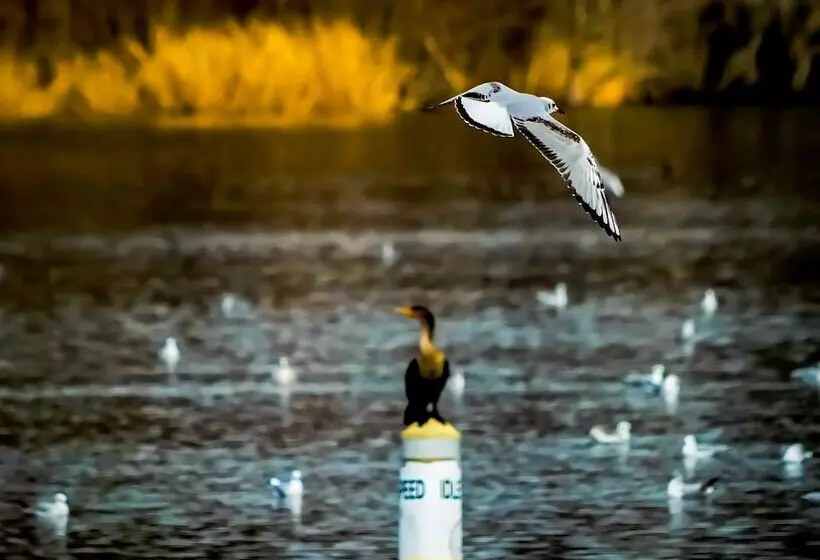 Bells Marina & Resort