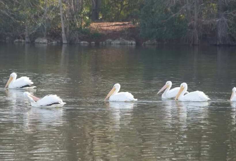 Bells Marina & Resort