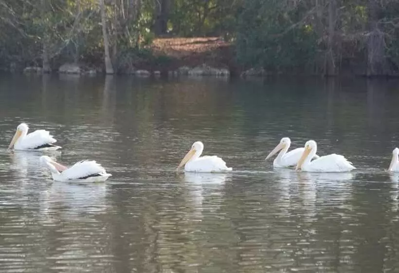 Bells Marina & Resort