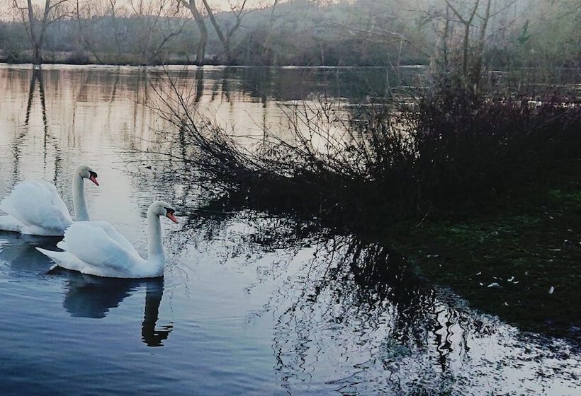 Charming 17th Century 2 Bed Cottage In Medmenham