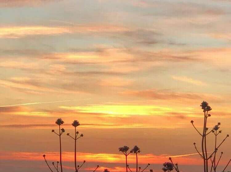 Cosy Cottage Near Hartland Village