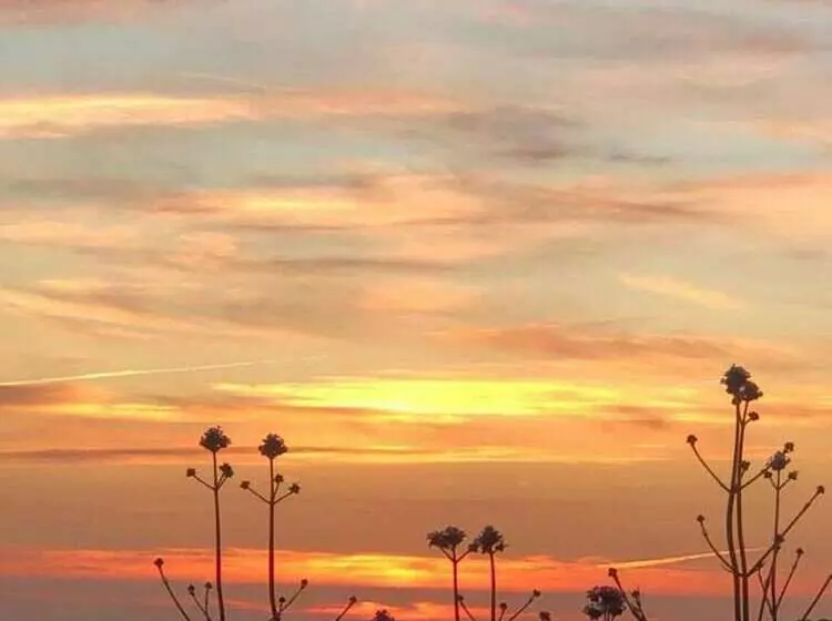 Cosy Cottage Near Hartland Village