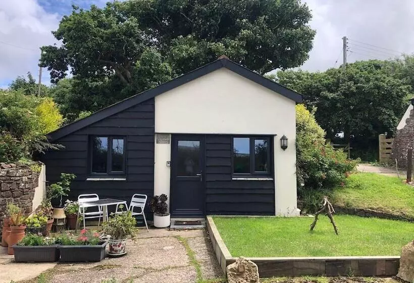 Cosy Cottage Near Hartland Village