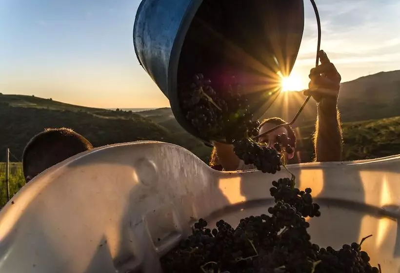 Villa Camille Hotel & Spa