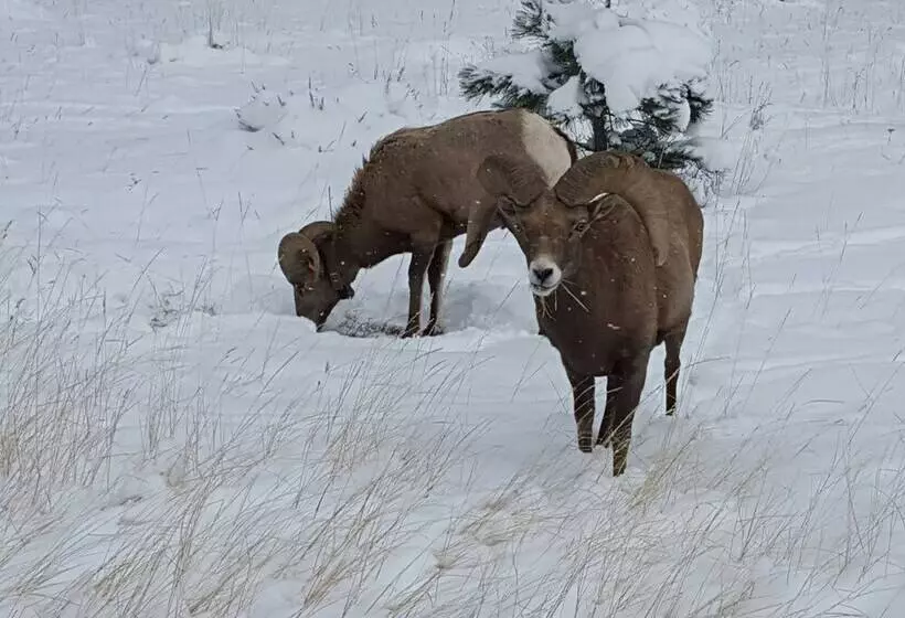 Hotelli Flaming Gorge Hideout
