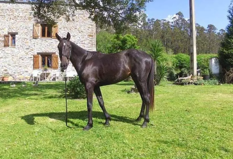 ホテル Experiencia Mi Tesoro