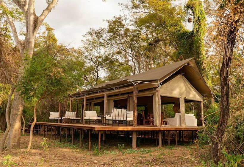 فندق Glamping Los Palmares