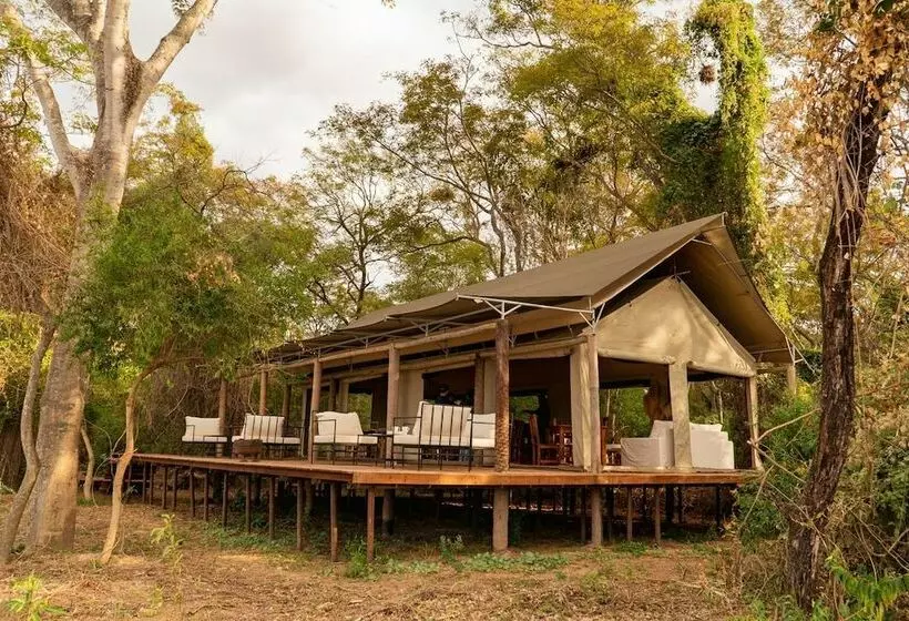 Hotelli Glamping Los Palmares