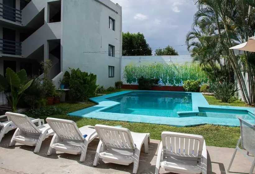 هتل Marqués Oaxaca