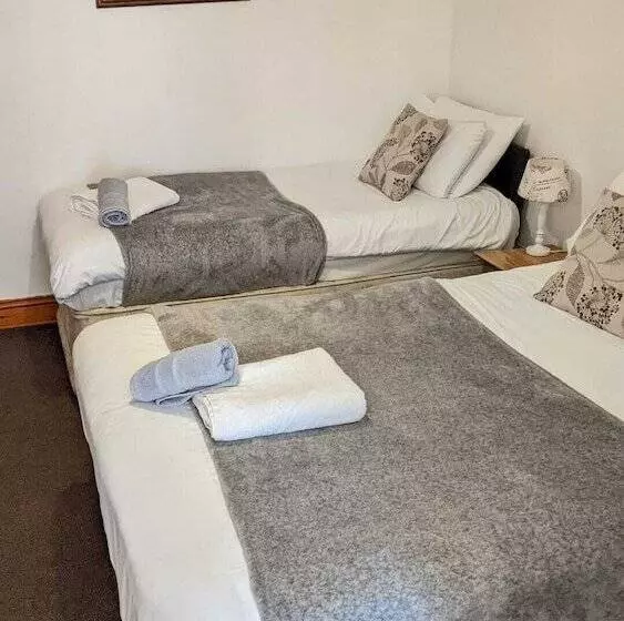 پانسیون The Old Palace Guest House