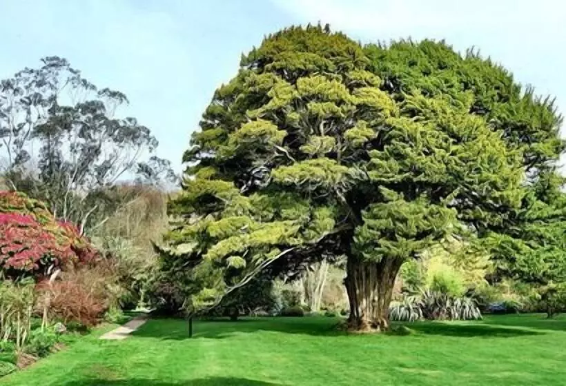 Stunning Premium Yurt In Kelburn Estate Near Largs
