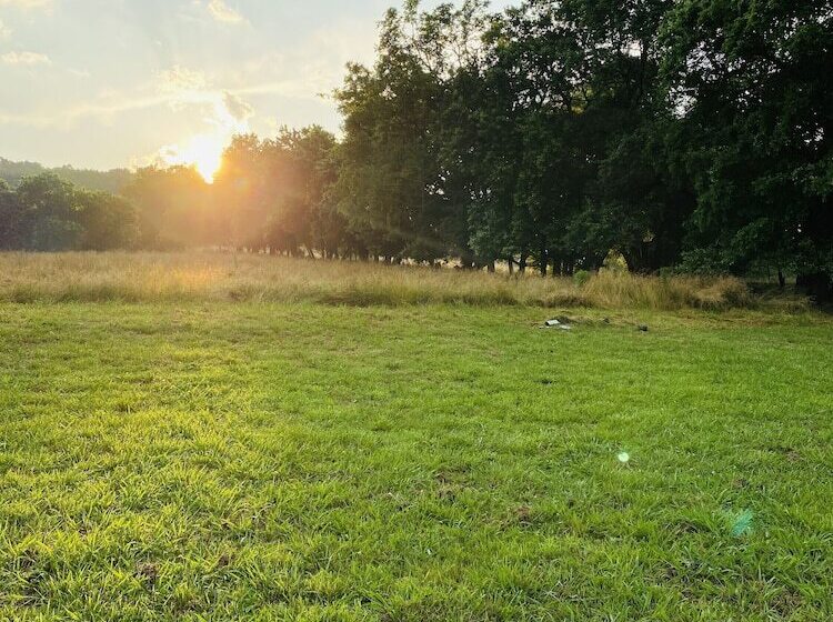 The Hopestead Bed & Breakfast