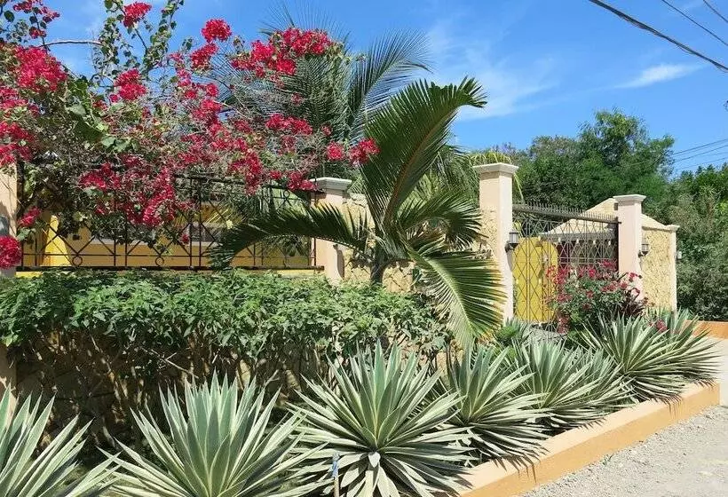 Alona S Coral Garden Resort