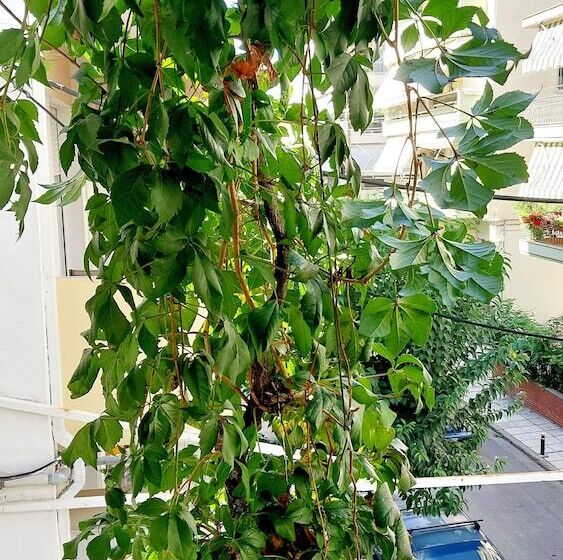 Bed and Breakfast Home Sweet Home 3bedrooms Premium Big House Thessaloniki 110m Playroom Free Indoor Parking