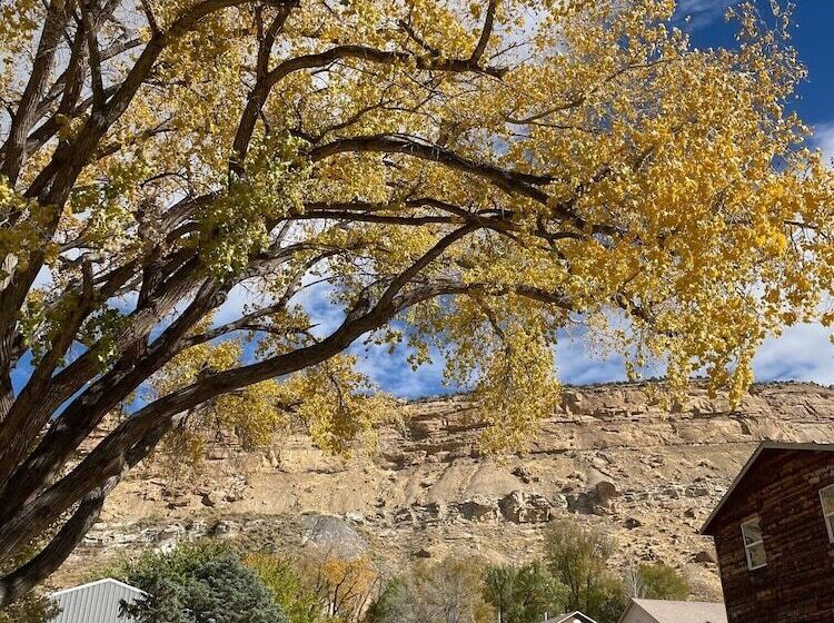 فندق فئة نجمة واحدة The Homestead