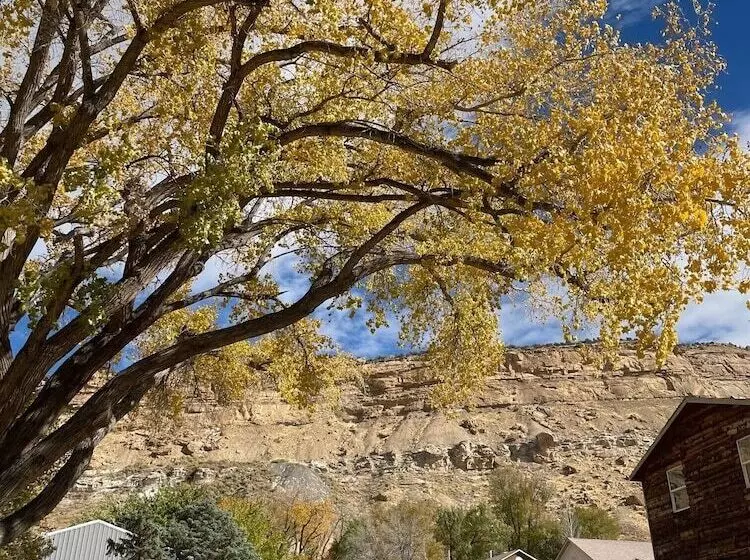 Hostelli The Homestead