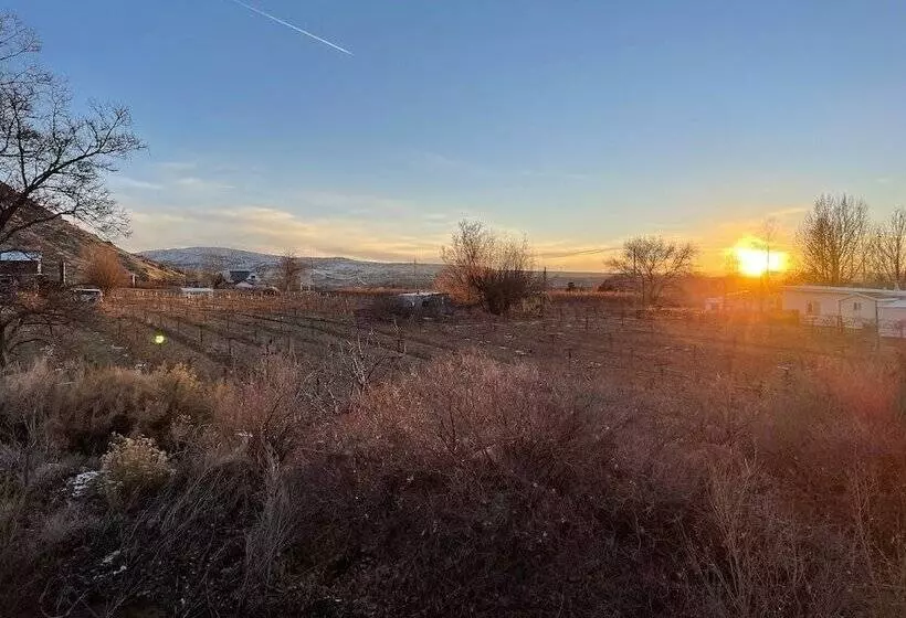 Hostelli The Homestead