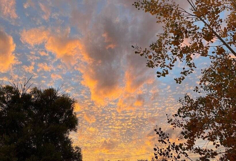 فندق فئة نجمة واحدة The Homestead