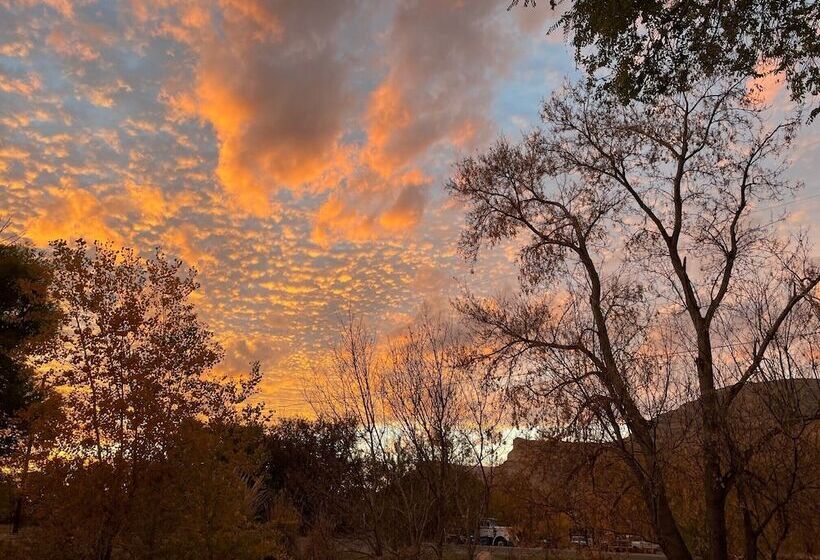 فندق فئة نجمة واحدة The Homestead