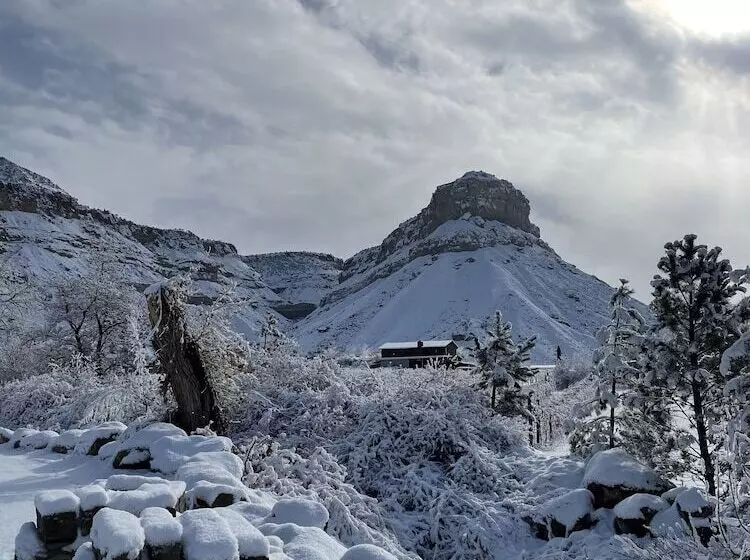 Hostelli The Homestead