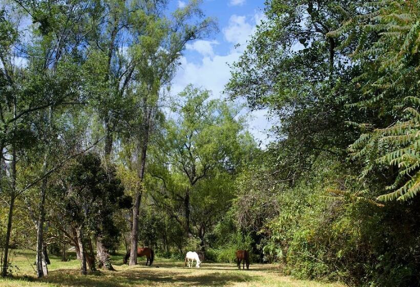 Отель Ráquira Silvestre Lodge