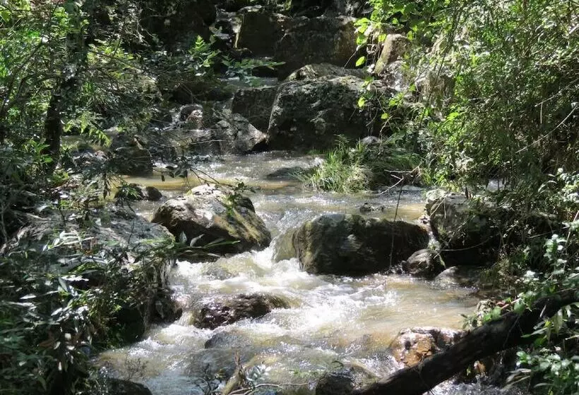 Hotelli Ráquira Silvestre Lodge